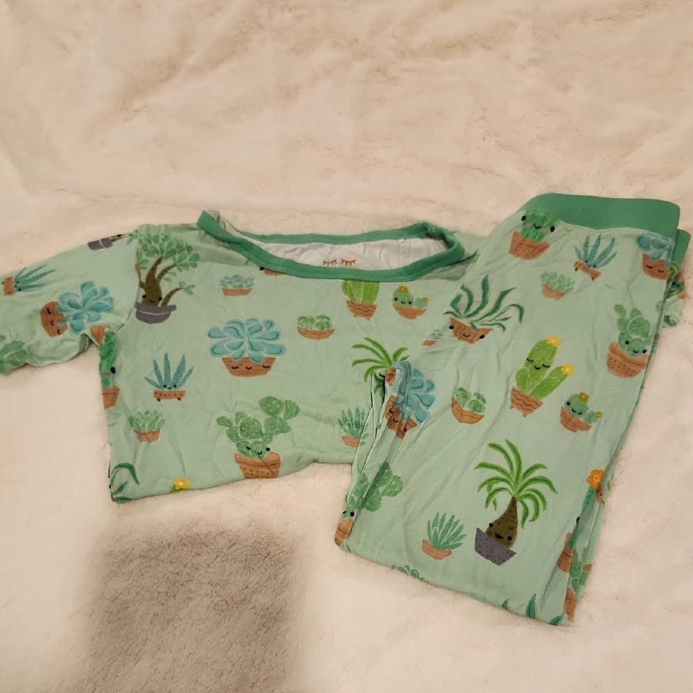 Little Sleepies Green Pajama Set In Succulent Print 4T
